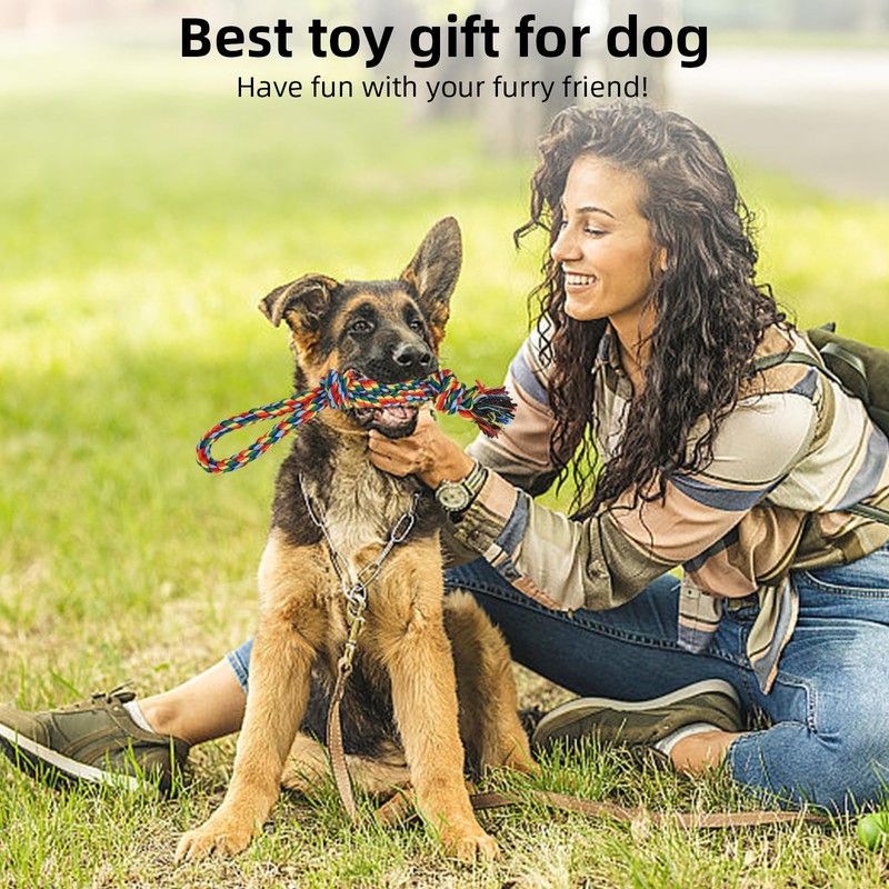 Flirt Pole for Dogs, Extendable Dog Flirt Pole with Detachable