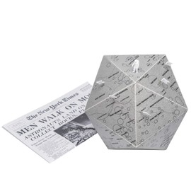 Palomar - There - The Moon Globe, A Celebration