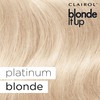 Clairol Blonde It Up Permanent Hair Dye, Platinum Blonde Hair