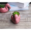 Youfui Cute Animal Succulent Planter Flower Pot Decor for Home