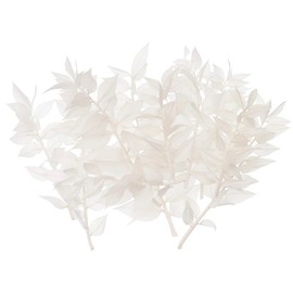The Baked Studio The Baked Studio - Original Dried Flower Ruscus Set For Cake & Cupcake Decorating & Others Crafts (White)