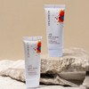 Bontree 본트리 베리에센스 선블럭 50ml 2개 / SPF50+PA++++ Bontree Berry