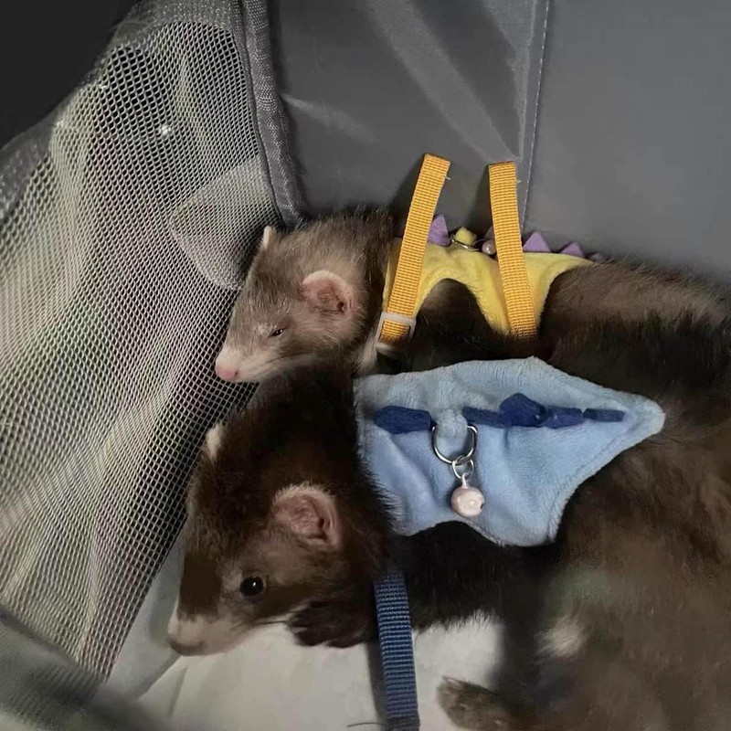 Refoiner Cat Harness for Cats, Ferret, Harness, Rabbit, Harness, Towing