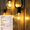 Pallerina 25 Pack G40 Light Bulbs Replacement,1.5 Inch 5 Watt