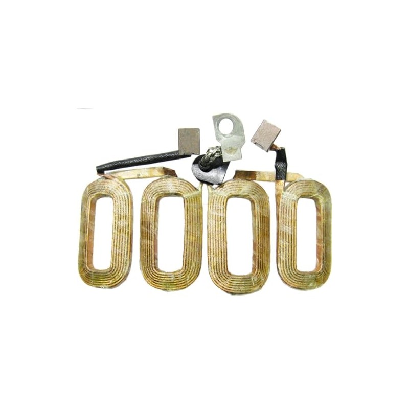 AS-PL starter motor field coil - SF4004
