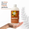 Acondicionador Con Extracto De Árnica Productos Mart Mexico 500 Ml