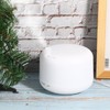 300ML Ultrasonic Air Humidifier with Lights Electric Aroma Diffuser