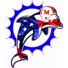 Dolphins 97-12 Flag Inspired Mini Football Helmet Decals