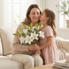 68cm Long Stem White Lilies Artificial Flowers 6PCS Real Touch