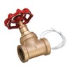 CocinaCo Vintage Steampunk 1/2 Inch Red Handle Stop Valve Light