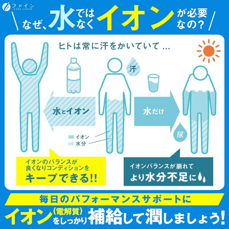 Fine Sports Drink, Ion Drink with Lactic Acid Bacteria, Yogurt