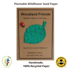 Healthy Family Eco Friendly Birthday Party Bags, 10 Sets, No Plastic, Pre-filled Party Bags For Kids, Party Bag Gifts For Kids, Sustainable Party Bags, Thank You Bags (Woodland Friends)