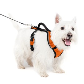 PetSafe EasySport Dog Harness – Adjustable Padded Dog Harness with Control Handle and Reflective Piping – Small, Orange