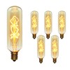 Bunnit Bulbs Vintage Edison Bulb, T25 Tube Spiral, 40w, E12