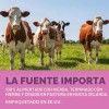 Suplemento Órganos Vacuno Mujeres 120 Cápsulas Sabor