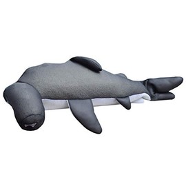 Main Access Nails- Seaside Rider Floating Shark