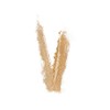 Maybelline Face Powder Face Studio V Face Duo Powder 02