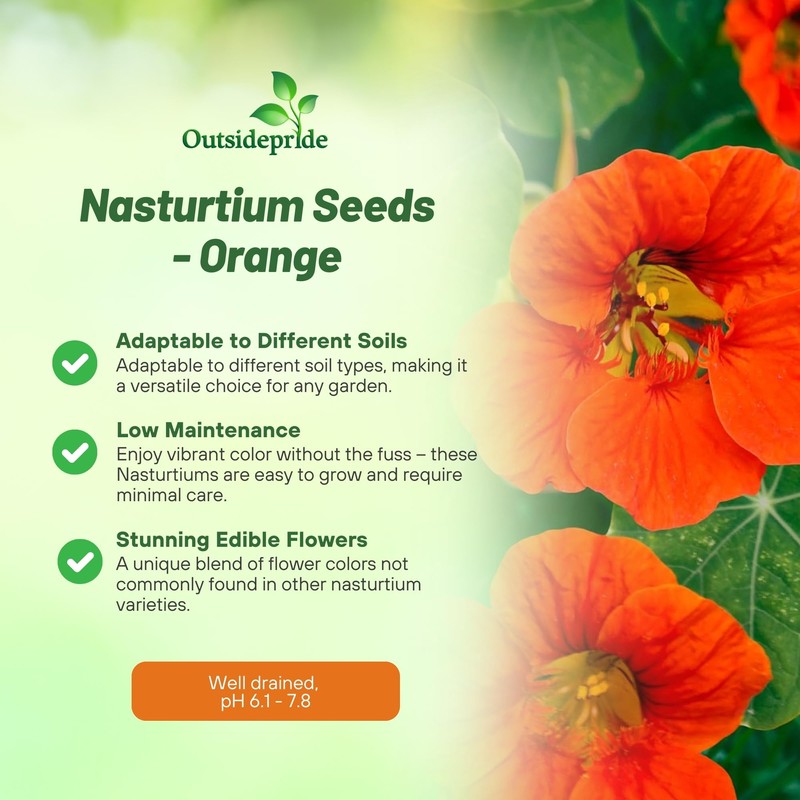 Outsidepride Double Gleam Orange Nasturtium Seeds - 200 Pcs Annual,