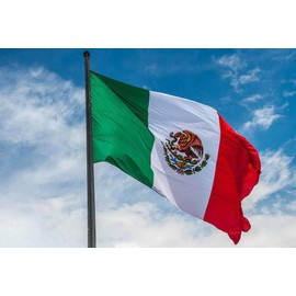 Mexico Mexican Flag | 3x5 Ft | Double ToughWeave Series Double Sided Embroidered 210D Polyester | Country Flag, Embroidered Design, Indoor/Outdoor, Brass Grommets, Heavy Duty