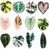 Plant Fridge Magnets,12pcs Leaf Shaped Decorative Magnet,Leaf Magnets for Fridge,Perfectfor