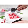 FACKELMANN Ice Cream Scoop, Plastic, with Easy Release Ice Ball