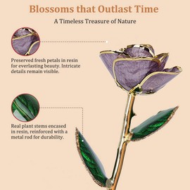 Gold Dipped Mauve Roses - Dipped 24K Gold Real Rose - Genuine One of a Kind - Eternal Romantic Present for Her - Best for Valentine's Day, Mother's Day, Anniversary, Birthday (Lilac)