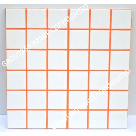 Grout 360 Electric Orange Sanded Tile Grout for Tile Installation Jobs. Use on Floors, Walls, Back Splashes, Showers, and Mosaics. (5)