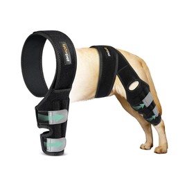 Lyderpet Dog Knee Brace for Torn ACL Hind Leg, ACL Brace for Dogs Rear Leg, with Side Stabilizers Strong Support to Reduce Joint Pain and Muscle Sore for Back Leg
