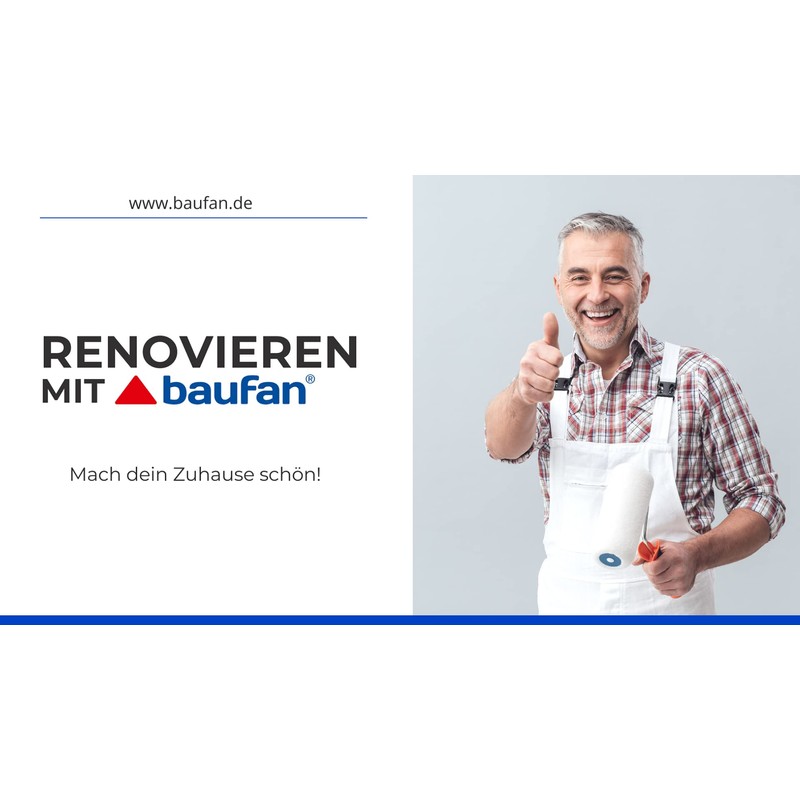 Baufan Protective Paint Tube 250 ml | Renovation Paint |