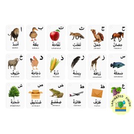 Arabic Alphabet Flash Cards for Kids Toddler and Adults, Arabic First Words, Letter Recognition, Homeschool Learning, Arabic Teacher