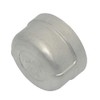 DAN SPEED Stainless Steel 304 Cast Threaded Pipe Fitting, Cap,