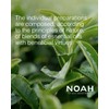 Noah 1.6 Colour Protection Shampoo with Rice Phytok Eratin 250 ml by