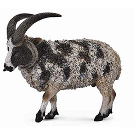 CollectA (Collector) Jacob Sheep Animal Figure 88728