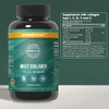 Primal Harvest Multi Collagen - Daily Supplement, Dairy & Gluten