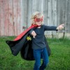 Boy's Reversible Spider & Bat Cape
