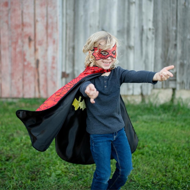 Boy's Reversible Spider & Bat Cape