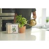 Osmocote PotShots: Premeasured House Plant Food, Feed for up to
