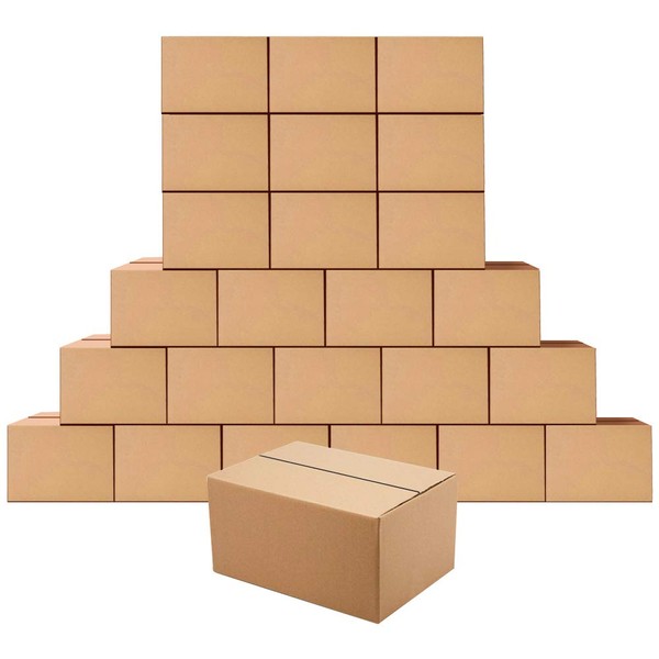 Edenseelake Cardboard Boxes 8 x 6 x 4 inches Small