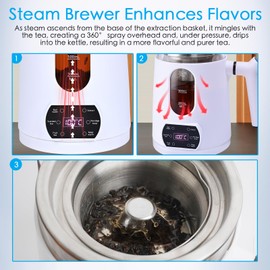 cglightwsparkle Electric Hot Tea Maker,Automatic Tea Kettle Pot with Tea Infuser,Electric Kettle for Tea Brewer,Temperature Control and Tea Keep Warm, 6 Flavor Controls,0.8L