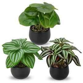 Briful 3PCS Fake Plants Potted Artificial Plants Mini Faux Plants in Black Ceramic Pots Greenery Décor for Home Office Table Room Farmhouse Indoor Decoration