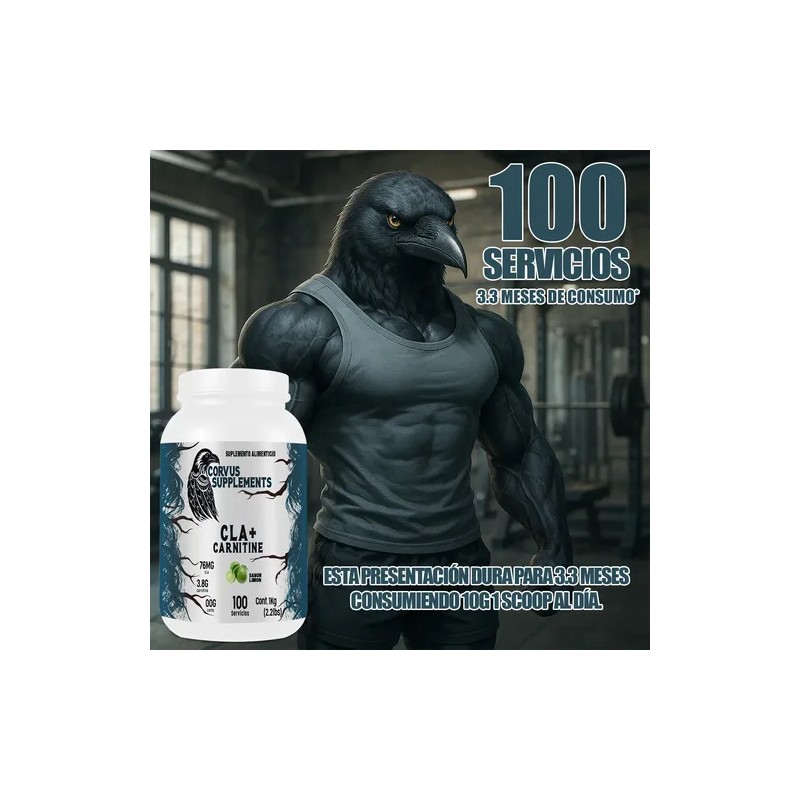 Suplemento Cla + Carnitina Corvus 1kg Polvo Varios Sabores