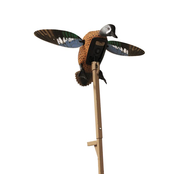 MOJO Outdoors Elite Series Spinning Wing Duck Decoy, Duck Hunting and Gear Accessories, Blue Wing Teal - Remote Ready