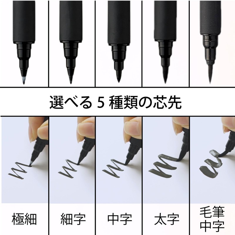 Kuretake XT3-10S/2P Brush Pen, Bijiji Brush Pen, Medium Point, Set