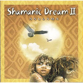 Shamanic Dream Vol.2