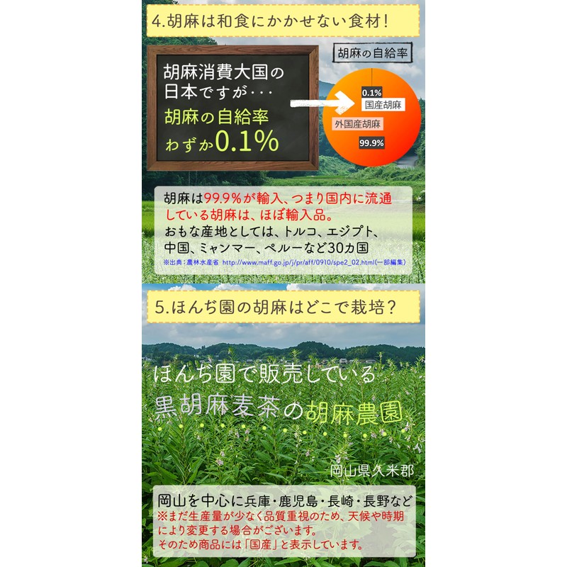 Japanese Black Sesame Barley Tea Bag 0.2 oz (5 g)