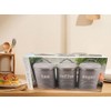 Apollo Round Air Tight Tea Coffee Sugar Kitchen Storage Canister