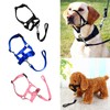 AIMALL Adjustable Dog Head Halter - Effective Anti-Pulling Training Collar