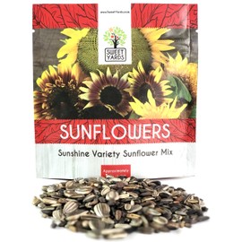 Sunflower Variety Mix 10 Types of Beautiful Sunflowers - Bulk 1 Ounce Packet - Open Pollinated Sunflower Seeds