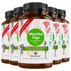 BonVigo® MenthaVigo Lungwort & Eucalyptus, 300 Capsules, 11 Plant Extracts,
