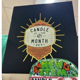 Trader Joe's - Candle Of The Month 2026 Set of 12 (Advent)
